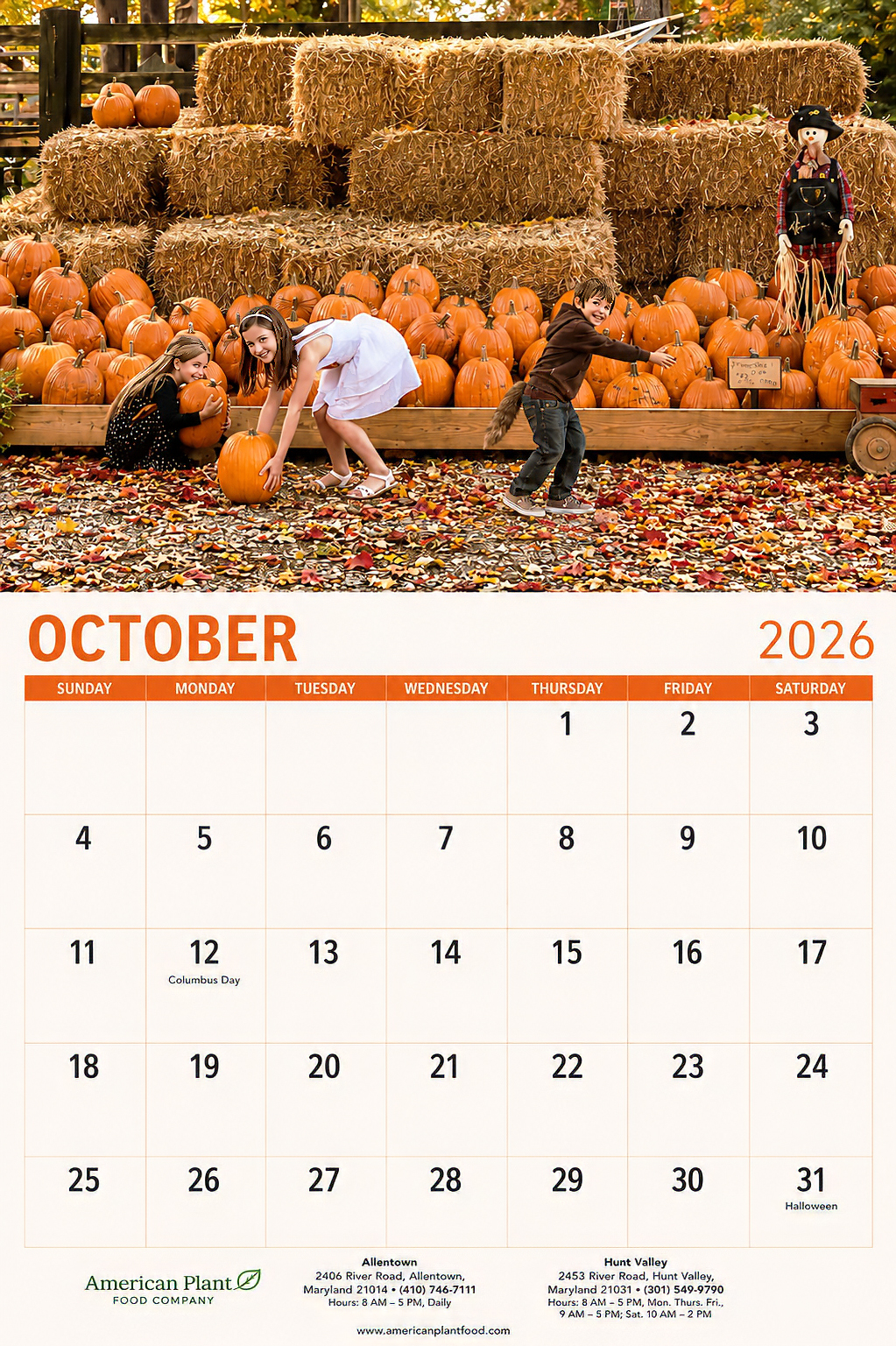 new millenium calendar opened