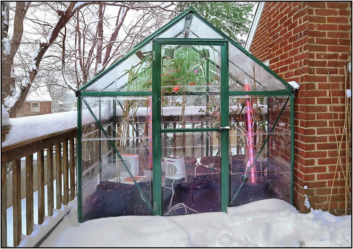 greenhouse in the snow a