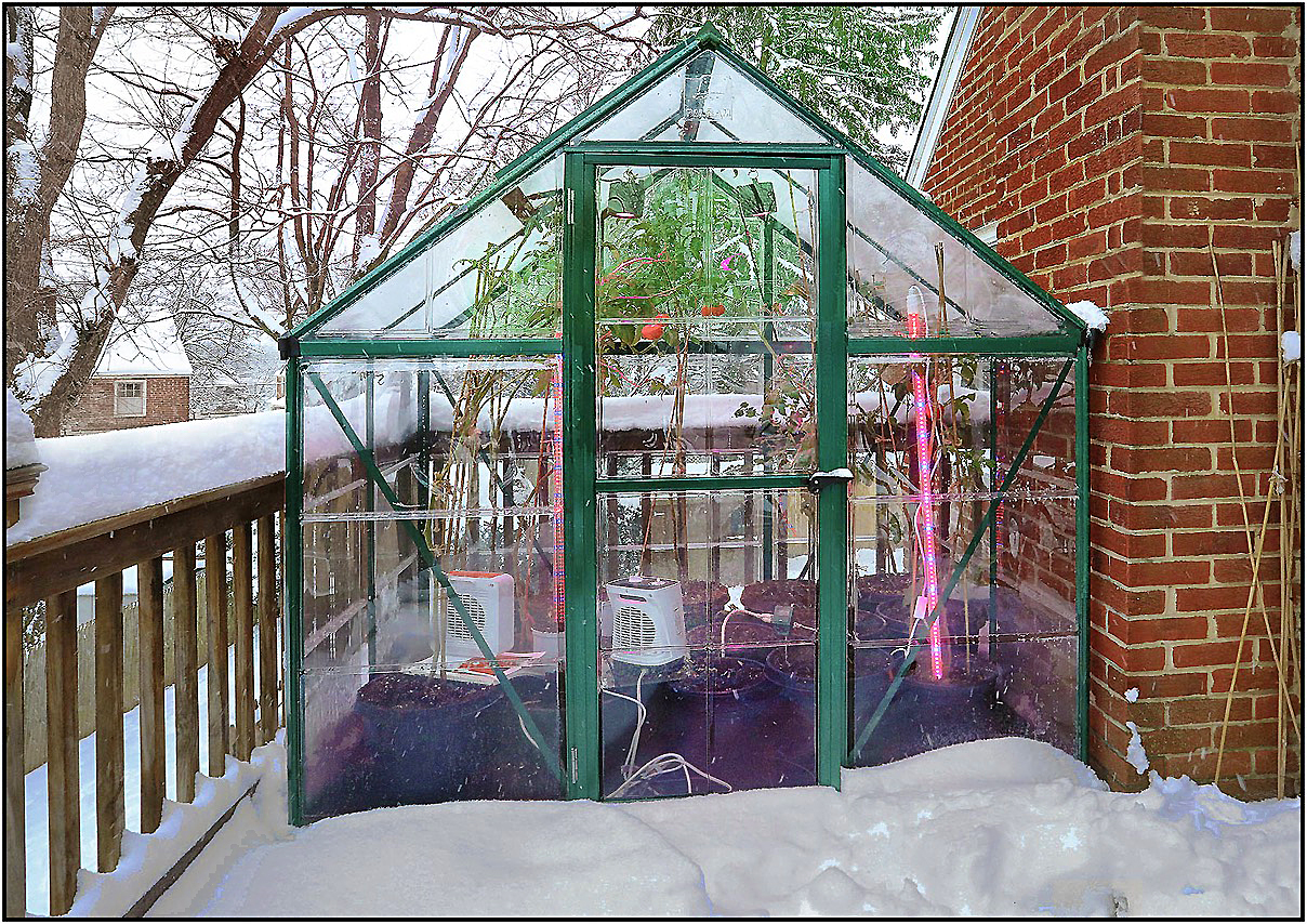 greenhouse in the snow a